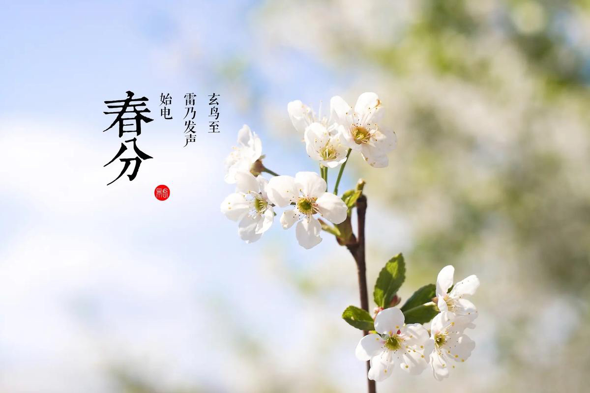 今天#春分#，养生要顺应天时，做到三忌三宜。三忌是忌熬夜，忌穿衣少，忌太早出门；