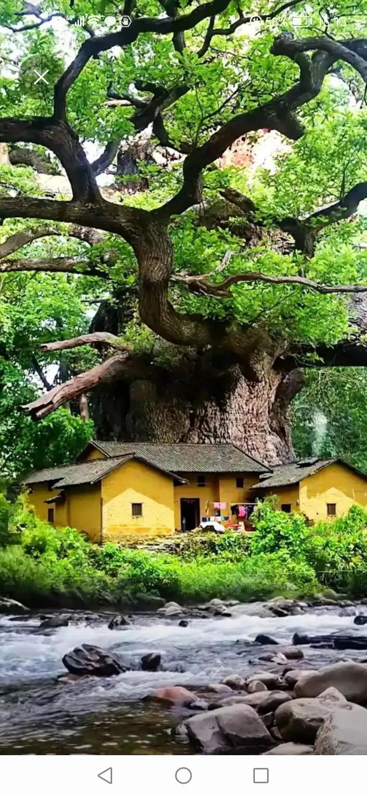 上：江水海水都是水，
下：狗粮猫粮尽为粮。