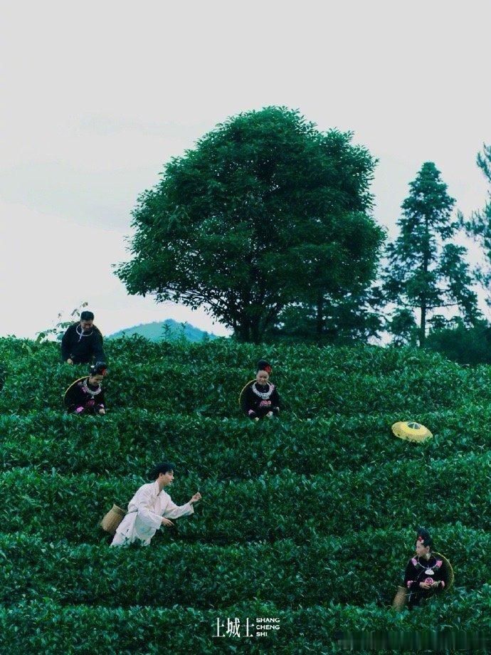 #张晚意第一次踏进苗寨# 张晚意的上城士途中风物封面梦幻上线！当他第一次走进苗寨