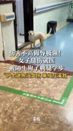 笑不活了家人们！

重庆一女子腿伤去医院，居然被一只狗子“嘲讽”了！

本来她正