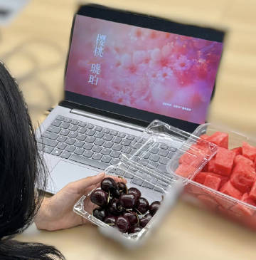 夏天就该边吃水果边追樱桃琥珀 每天追《樱桃琥珀》成了习惯，林樱桃蒋峤西这对CP甜