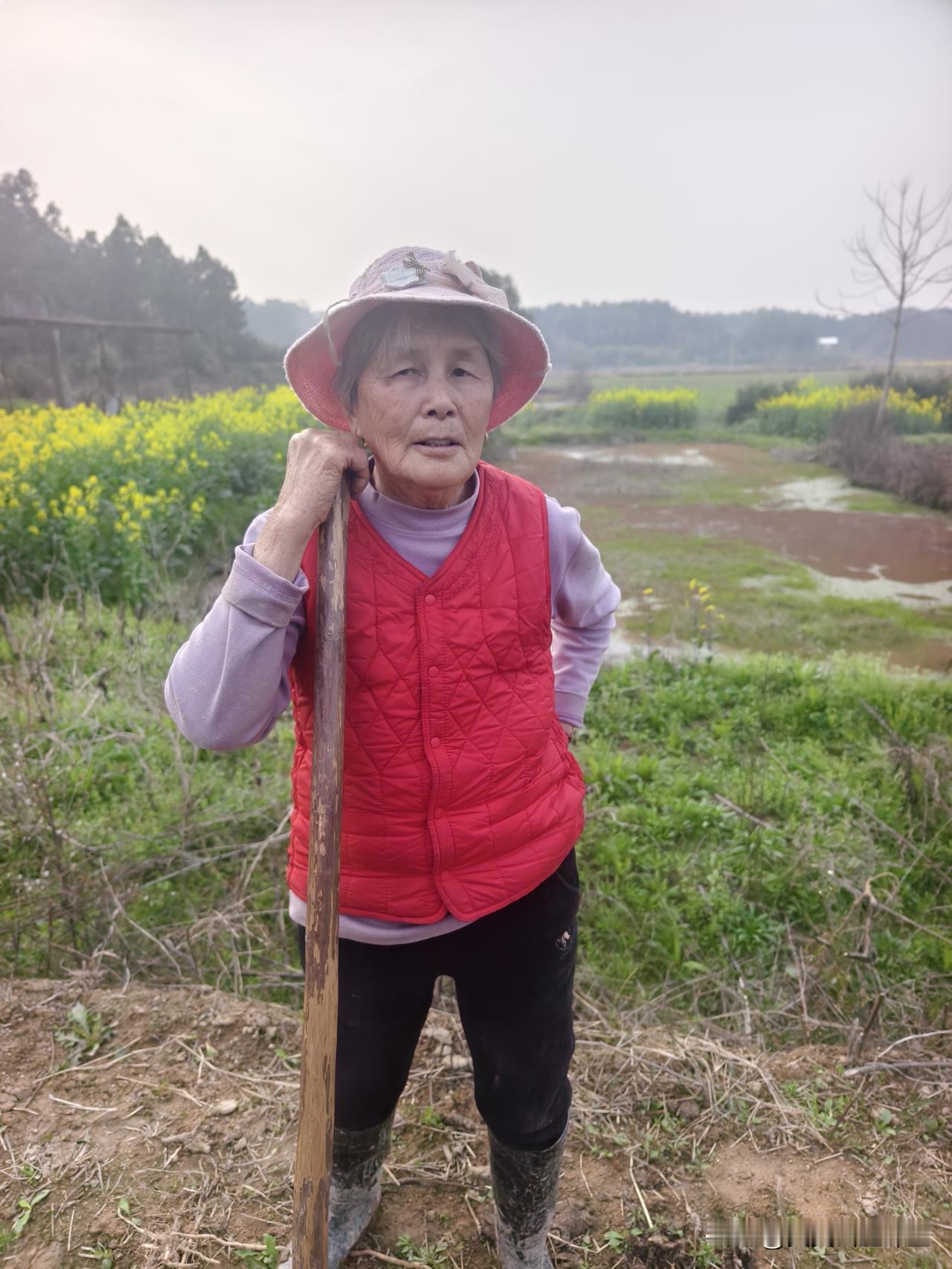 人家我说我亏了30多万，其实我才亏了7万块钱！
我的地里种艾草，养鸡场的老板娘和