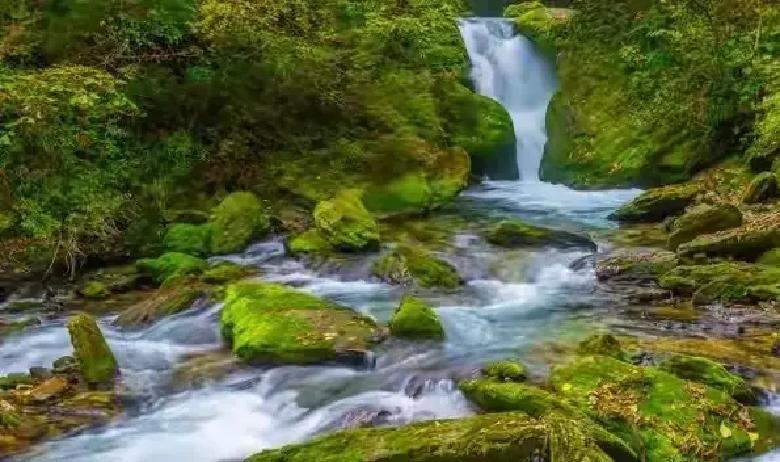 很多兄弟追女生时都纠结：明明聊得挺开心，却总觉得差那么点火候，关系就是升不上去。