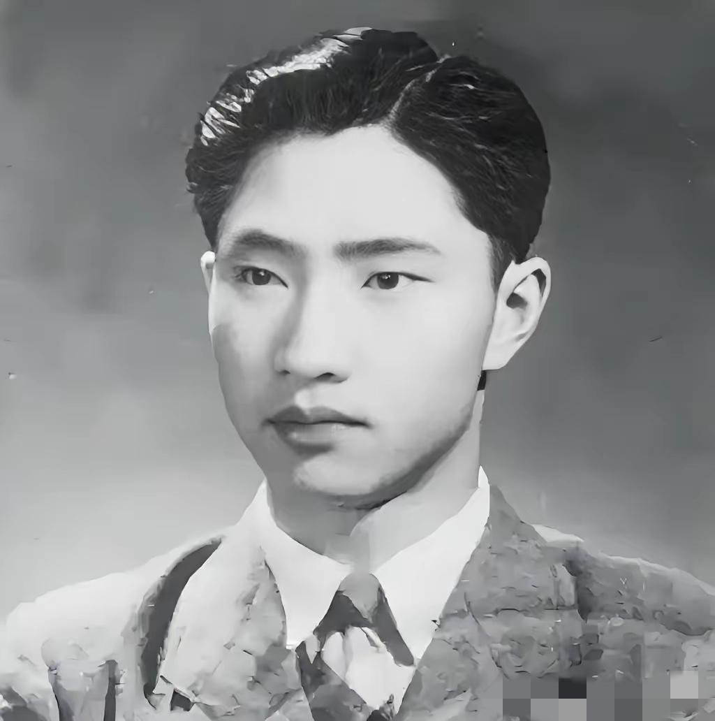 吴石将军牺牲后，蒋经国以为台湾的共产党清理干净了，但他没想到的是，曾在三野从事隐