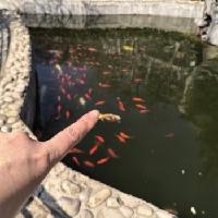 我的今日状态：💪🏻充满干劲
我这里的天气：🌈雨过天晴