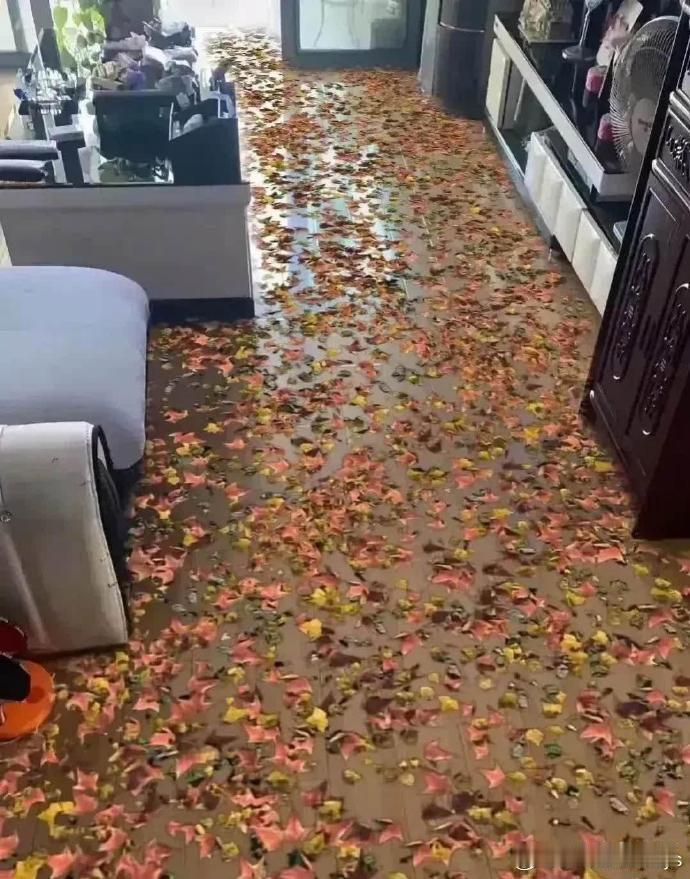 小舅子新居落成，邀我探访。初入室内，误以为踏入垃圾场，细看之下，竟是创意地板，仿