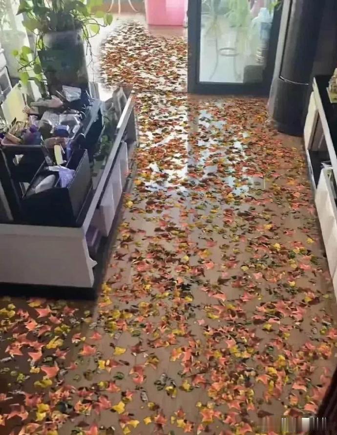 小舅子刚搬进新家邀请我去参观，一进门我还以为到了垃圾场，定睛一看才发现是地板，这
