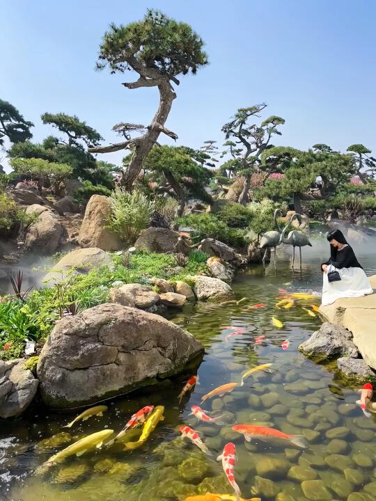 被园林🦢天鹅锦鲤PUA❗️每帧都美到不像人间