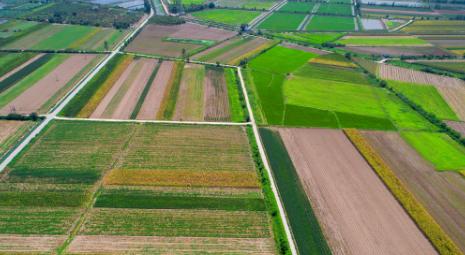 湖北国家专项28个县全名单！农村娃降分上名校的关键
最近后台被问爆了，全是湖北农