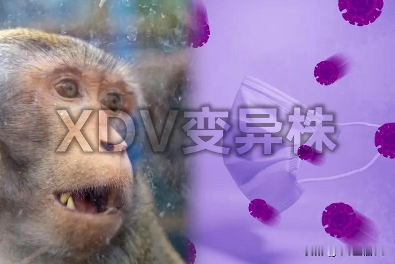 感觉现在这个世界就像一场没有硝烟的混合战争，全球人类的生存面临各种挑战，而人类健