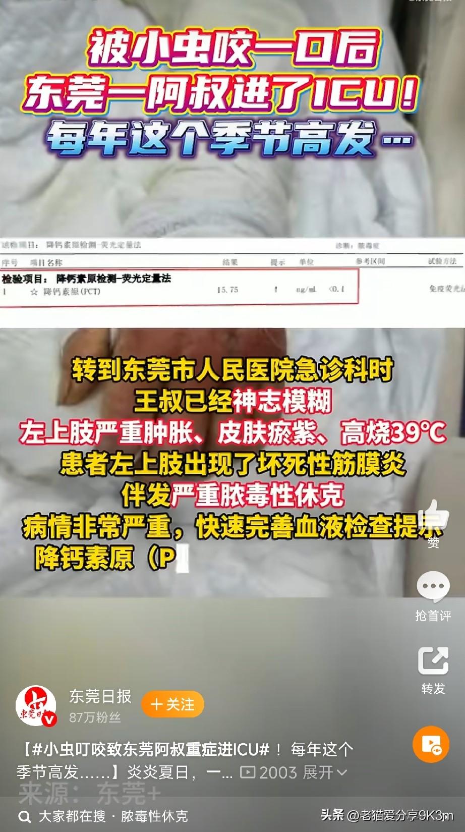 一只看不见的小虫，差点要了东莞这位六旬阿叔的命。

说起来你可能不信，事情起初特