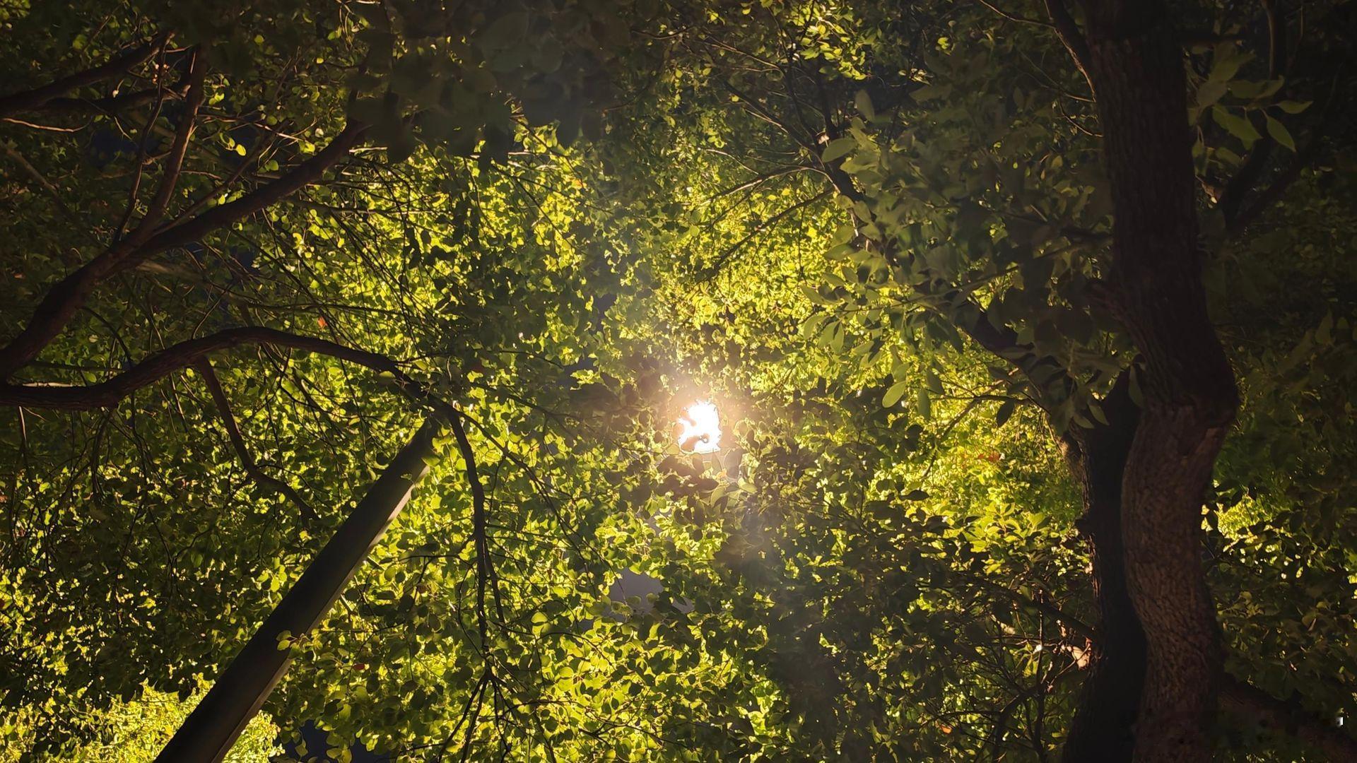 情感 我没有诗和远方，只有早出晚归，谈不上辛苦，也谈不上心苦，在这每一个不曾起舞