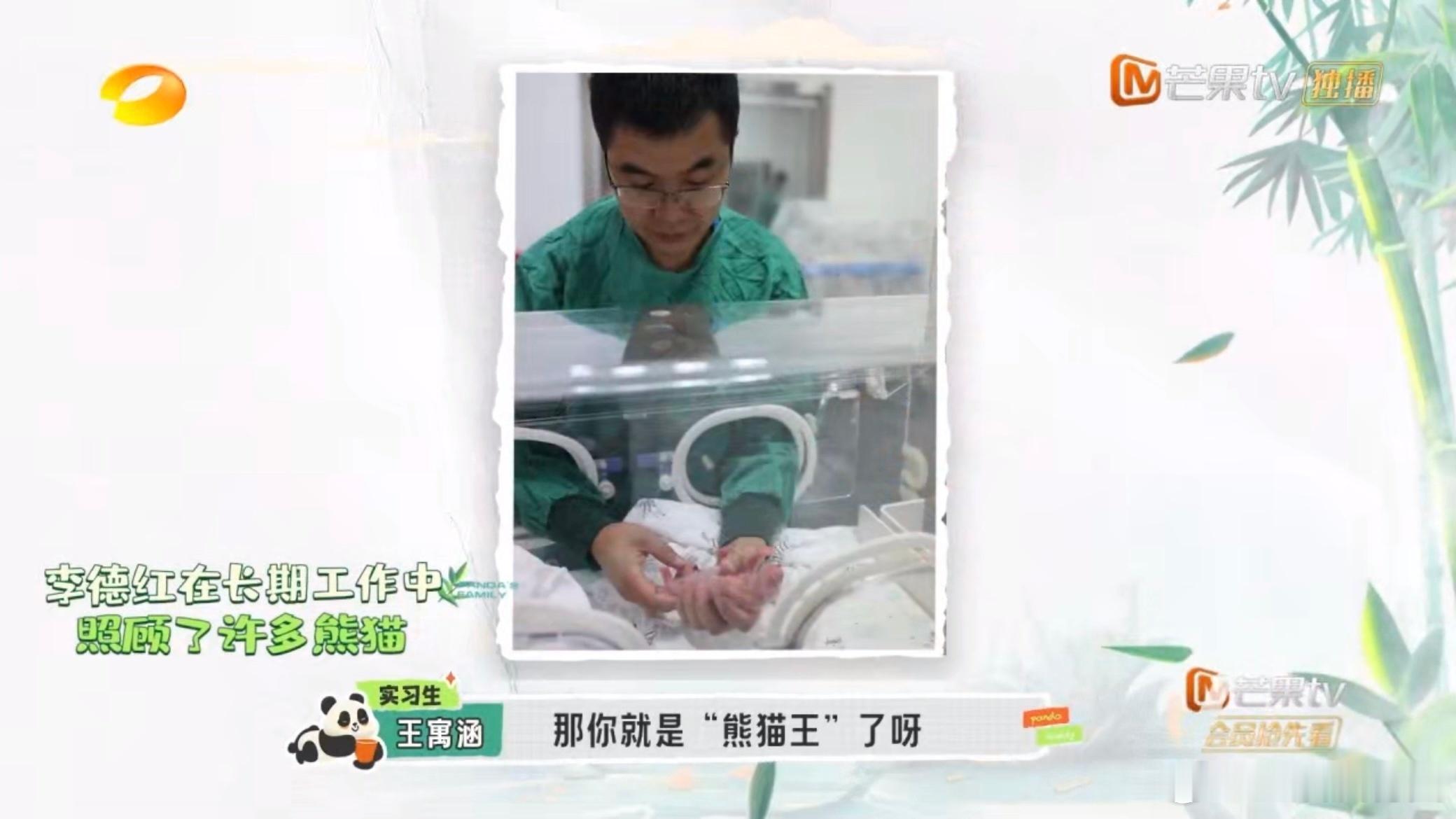 #熊猫认得自己的饲养员吗#大熊猫和饲养员相处的画面让人感到温馨，相信饲养员对熊猫