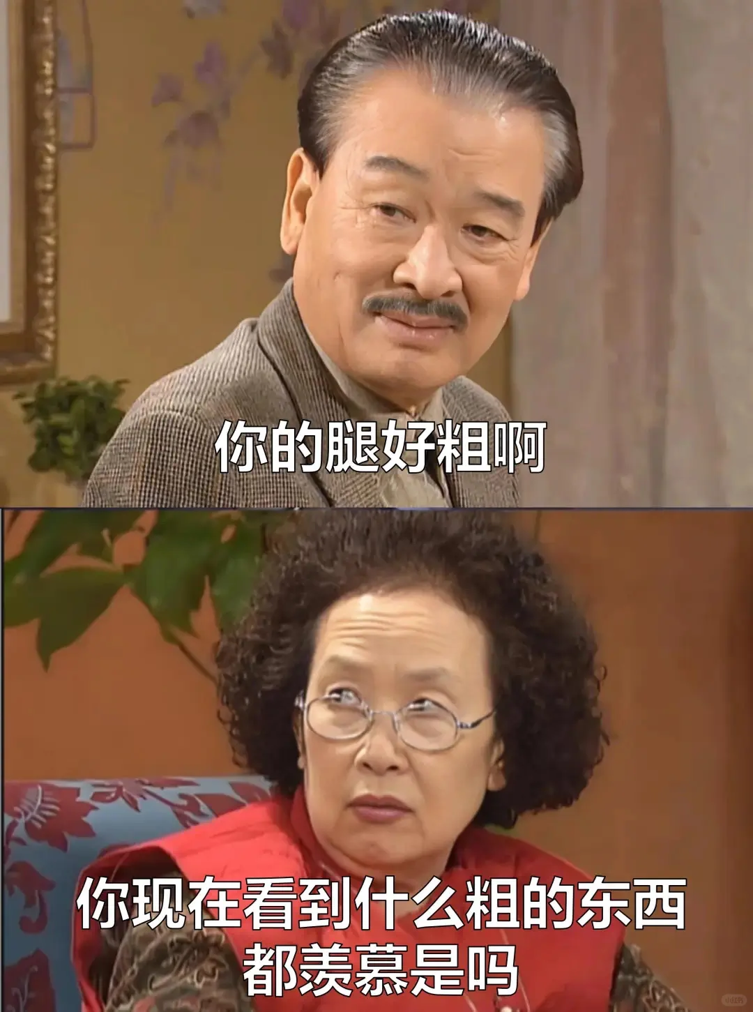 怼人还得看罗女士⁉️专治各种不服‼️