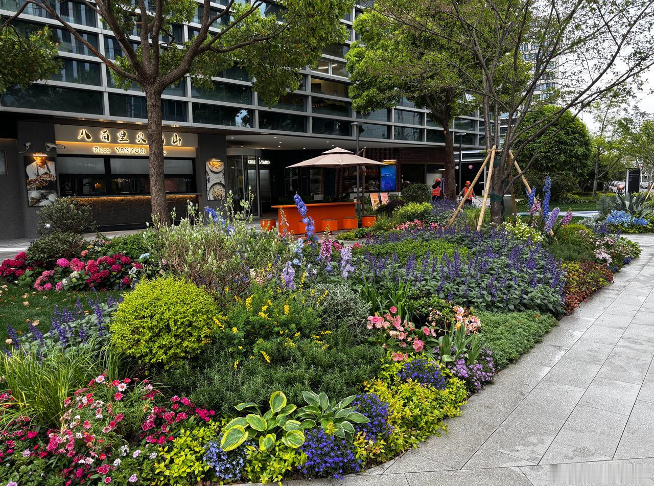 天气不好。随便看看。 ​​​