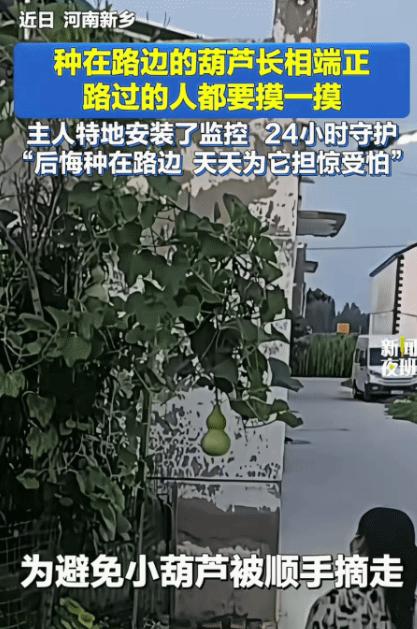 “没想到上人民日报了！”杭州，一车主路遇洒水车给路边的花丛酒水，开始还以为司机会