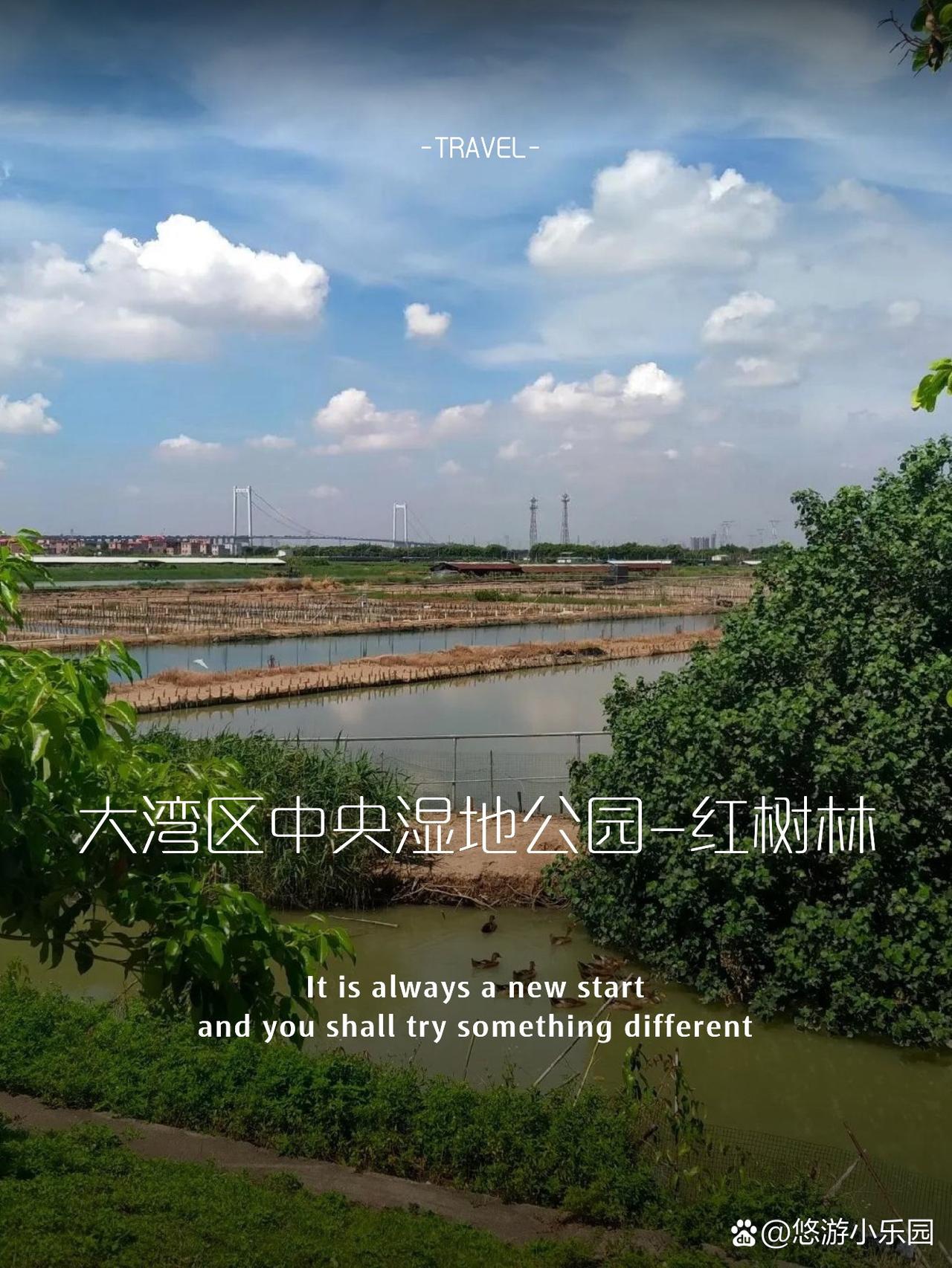 大湾区中央湿地公园红树林攻略

终于挖到一个离市中心超近的宝藏湿地！人少景美还免