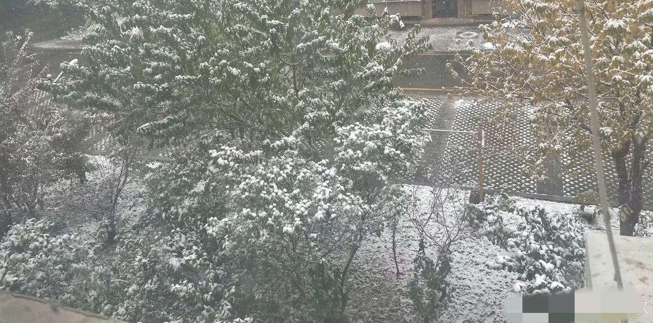 哈尔滨凌晨飘雪！南方人喊着要来，本地人：我的“出溜滑”DNA动了
 
家人们！哈