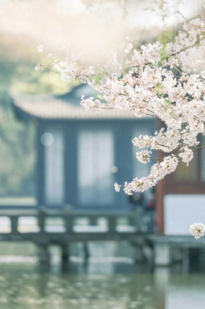 人本过客来无处，休说故里在何方，随遇而安无不可，人间到处有花香。——林语堂主打一