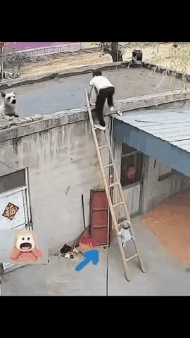 这家长也是的
那么小的宝贝
怎么能让他远离视线呢
还好最后有惊无险的下来了[捂脸