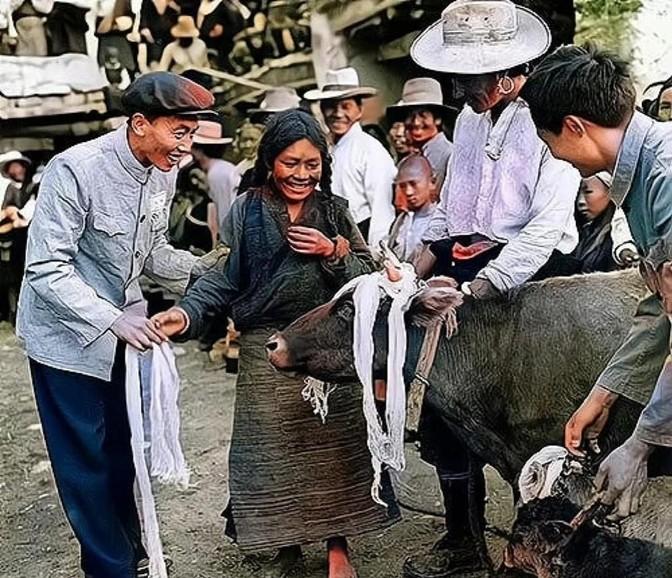 1959年，西藏堆龙德庆县南岗村，一位农奴姑娘分得了一头母牛和小牛崽，照片中可以