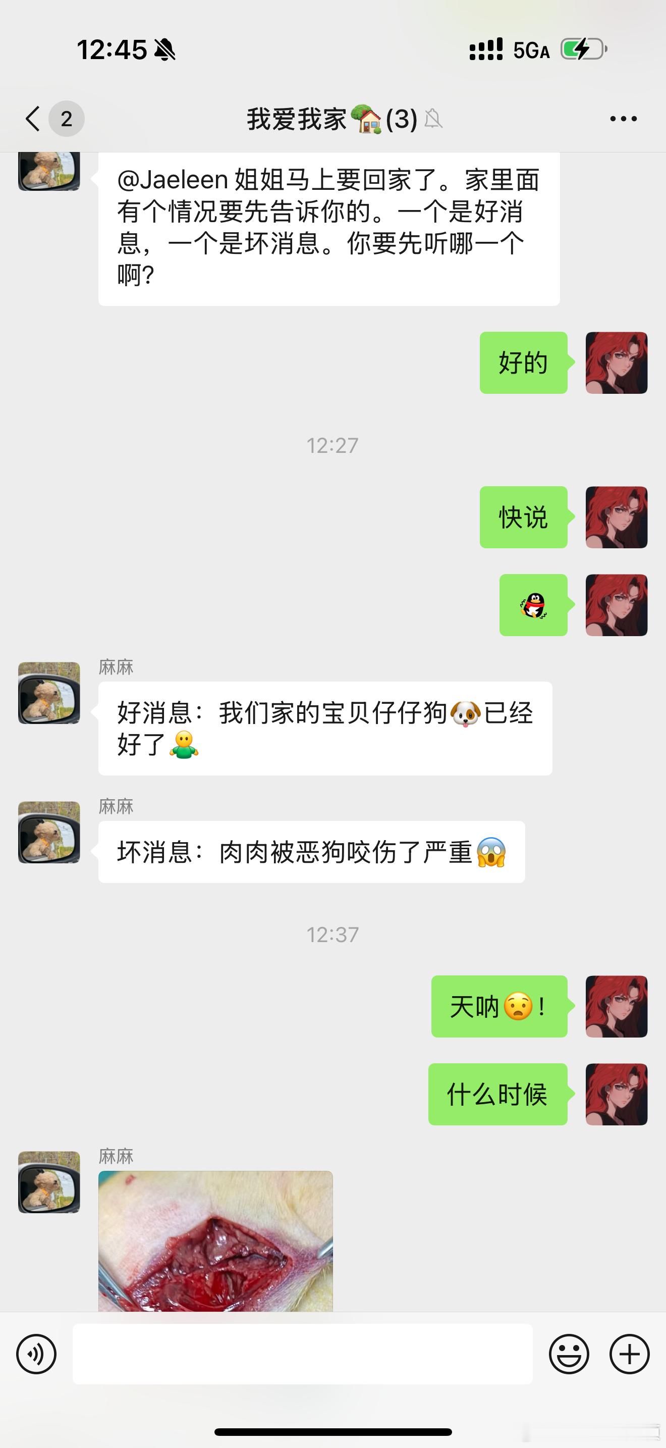 肉肉上周被不牵绳的大黑狗咬伤了，给我气坏了，还好没啥大事，做了手术后已经恢复🉐