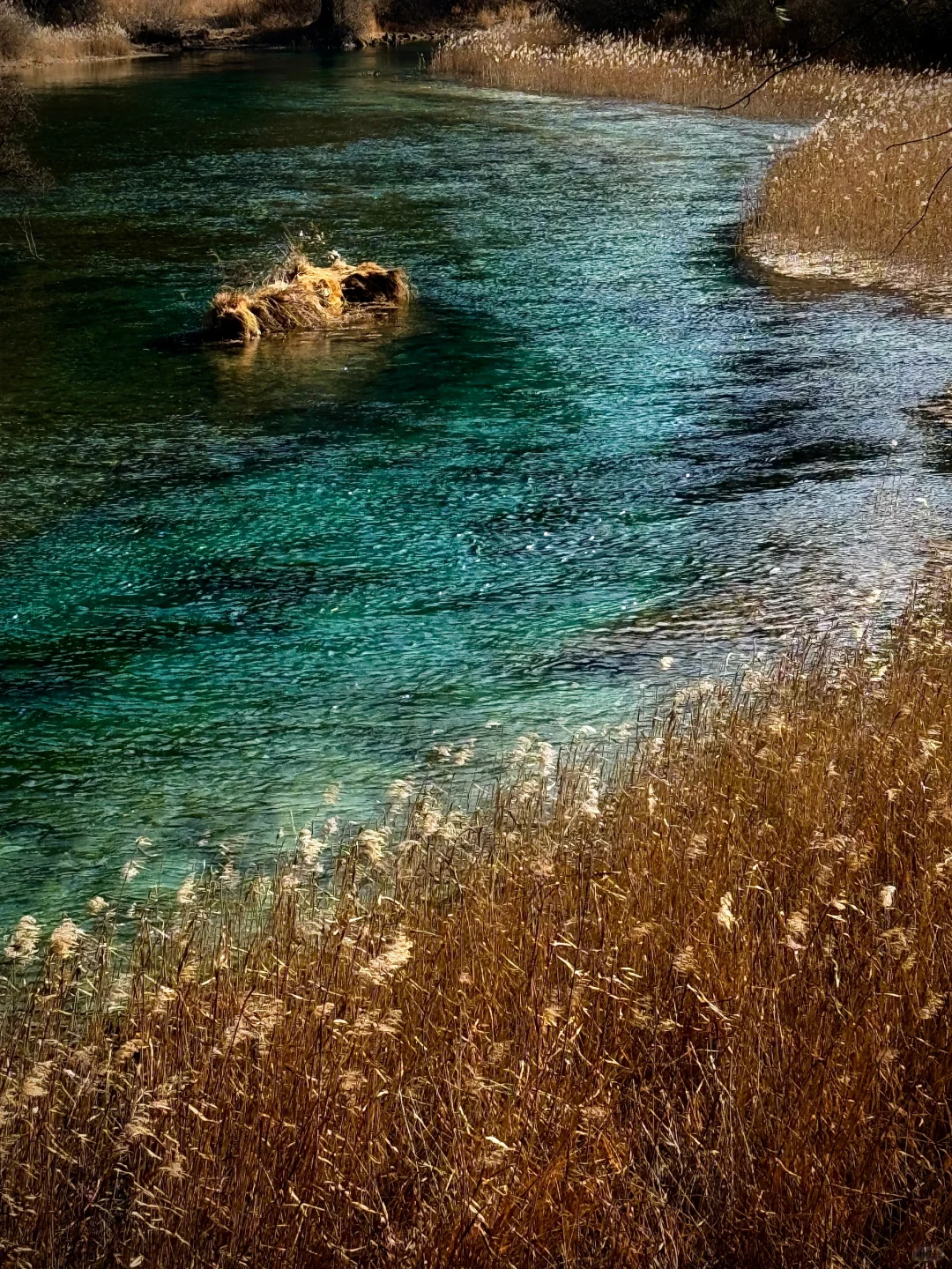 🩵人间秘蓝 / 九寨沟