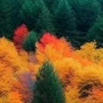 每日一善 每日一善 [音乐]阳光‎信用 您好一起保护大自然与社会携手做公益关爱唇