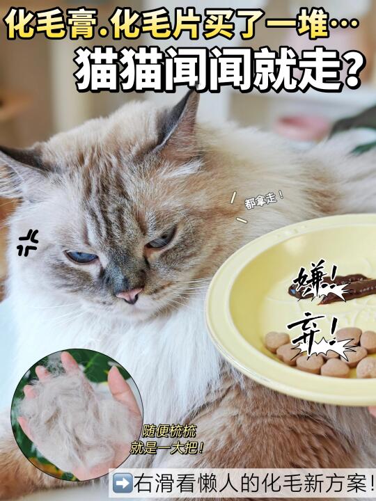 从吐毛怪到干饭王！🐾化毛救星来啦~
