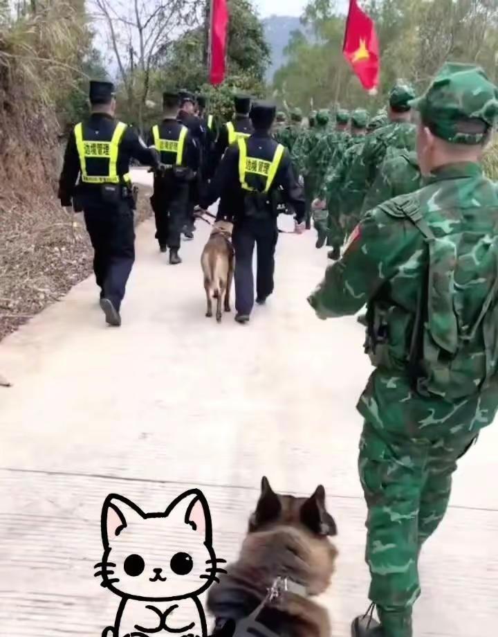 越南相关强强联合含义讨论。🇨🇳不同立场的表述背后，其实对应着不同的合作逻辑与