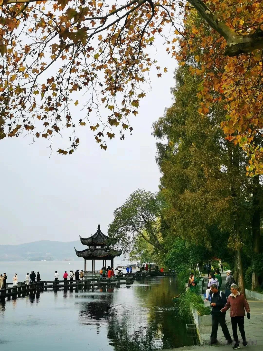 杭州西湖深秋景色一瞥——游长桥，观古塔，赏秋色，感受深秋杭城的迷人风采……