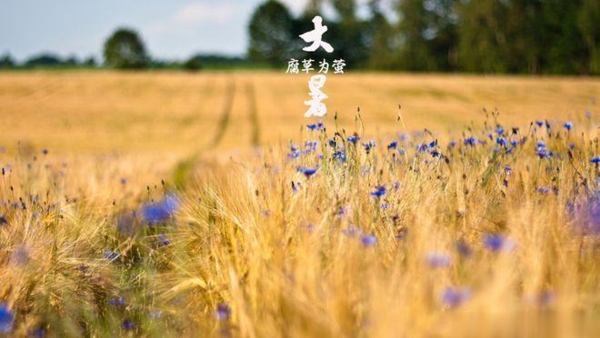 【#为什么一年最热的节气是大暑#】夏至日是北半球一年当中太阳高度最高，日照时间最