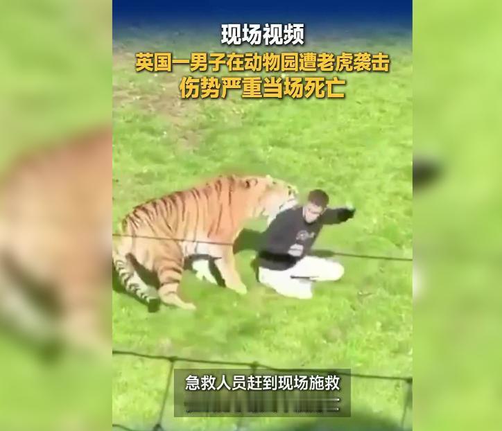 人有时候真的会被 "自信" 给害死。英国这位 20 多岁的小伙，拥有一身人人羡慕