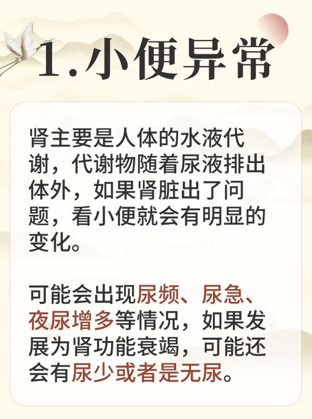 肾脏好不好，看这 4 个早期表现就知道