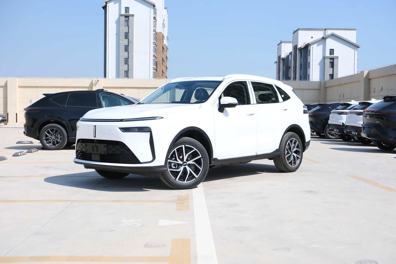新车WEY 拿铁 新能源 2025款 拿铁 PHEV 1.5T 四驱超大杯 包牌