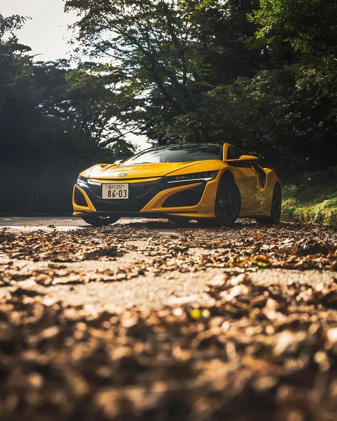 本田家族旗舰超跑NSX