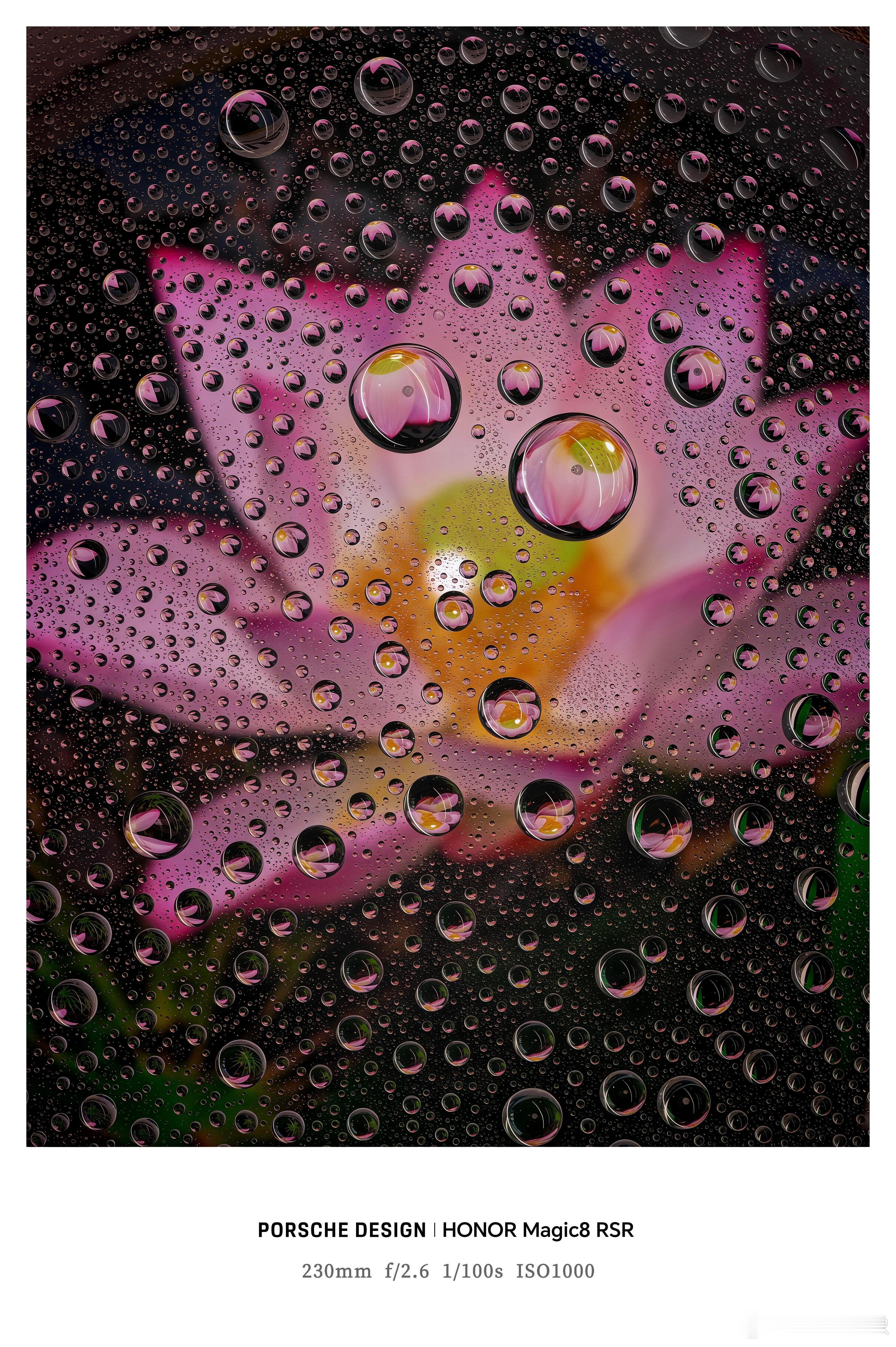 荣耀影像官方放出的Magic8 RSR长焦样张图，这代看着真有点强！ 