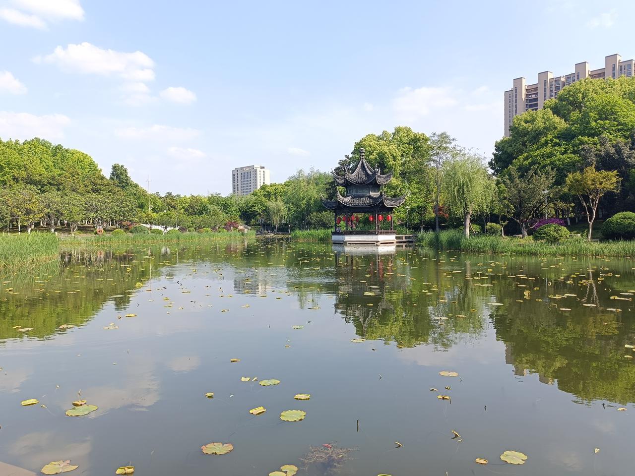 发一张图片，让我猜出你在哪里拍的