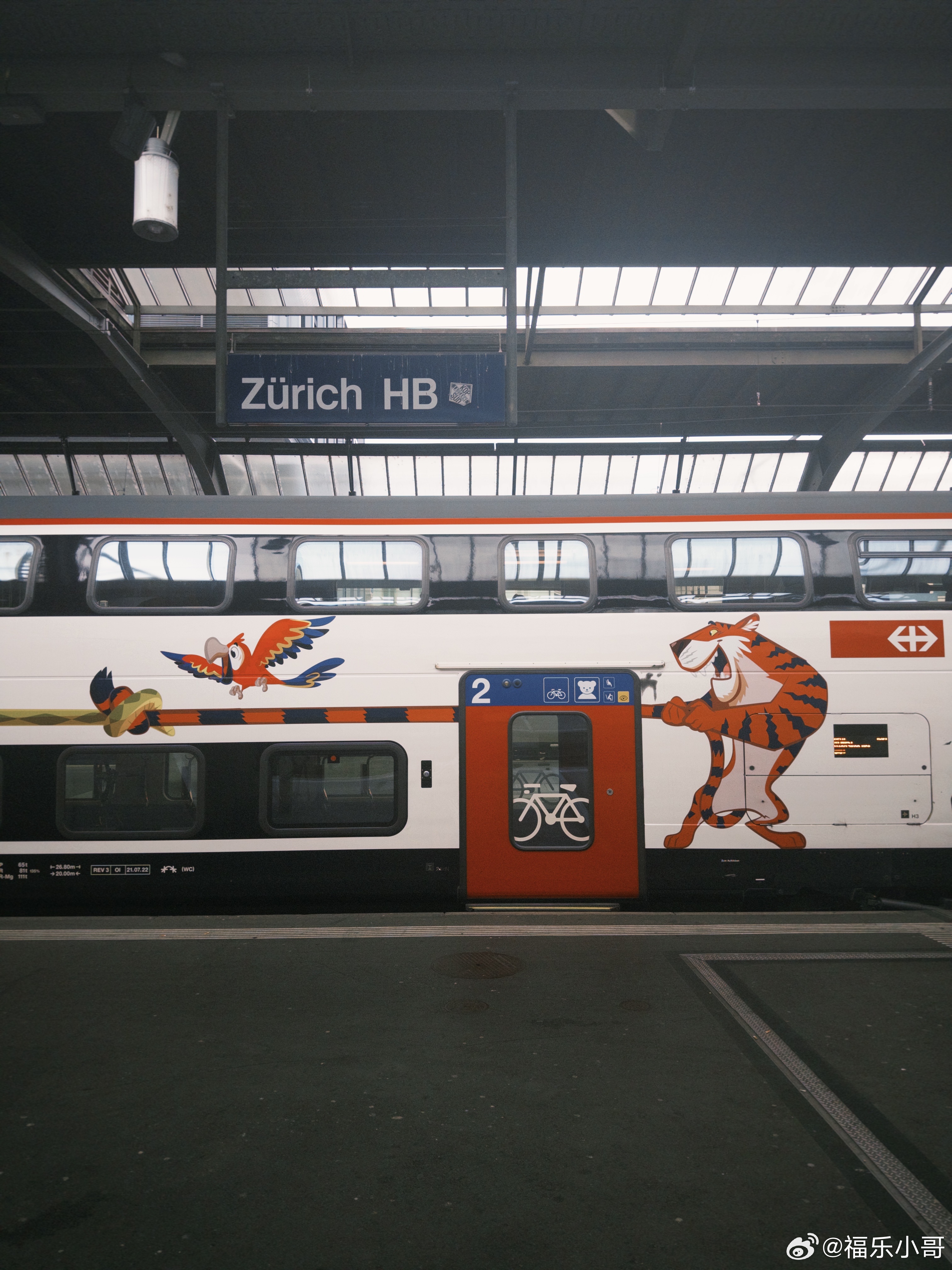 苏黎世🚊在青旅遇到一个56岁的无锡阿姨，不会英语不会导航，一个人勇闯芬兰、瑞士
