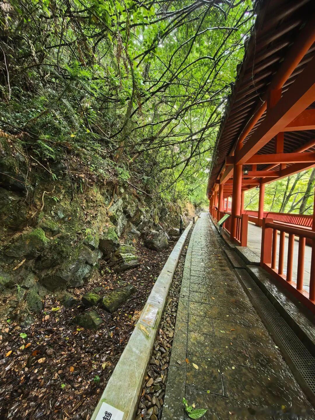 浙江新晋世界级秘境！衢州常山，中国第 51 个世界地质公园，藏着十亿年地球演化史