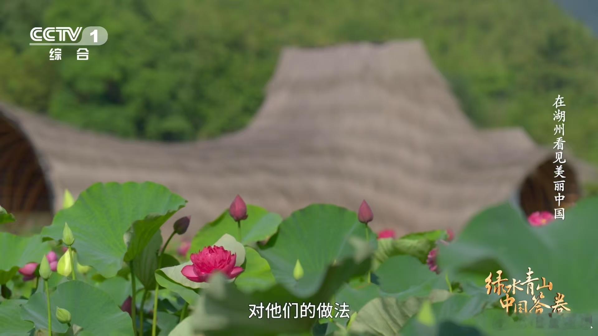 打卡绿水青山就是金山银山理念诞生地航拍视角下，打卡绿水青山就是金山银山理念诞生地