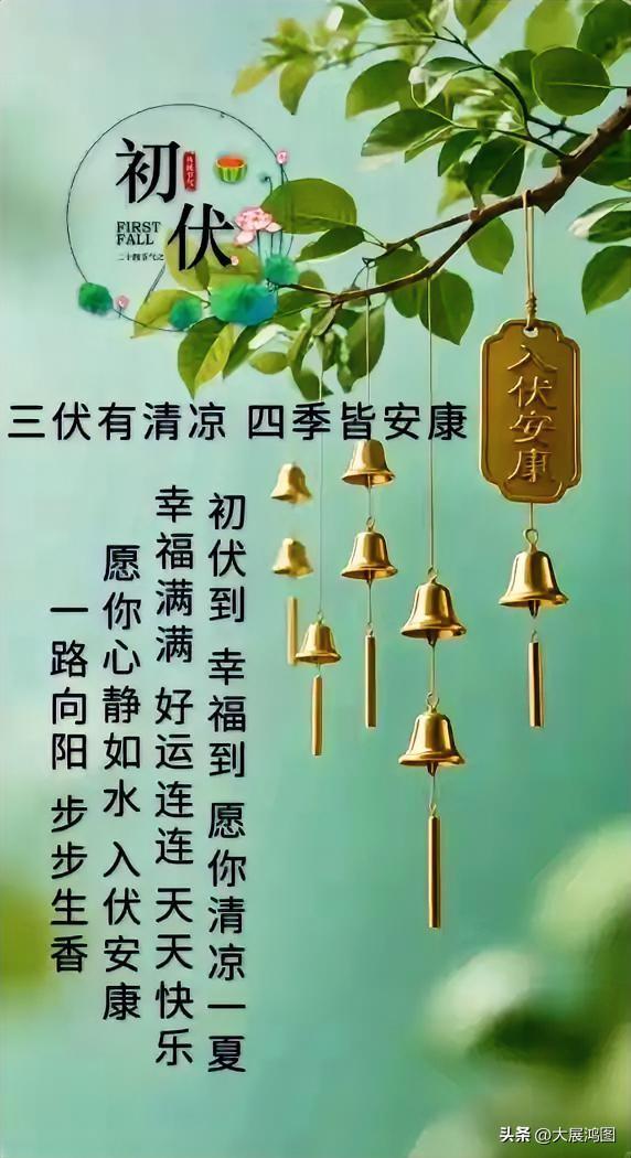 初伏安，清凉一夏，愿你心静如水，好运连连。