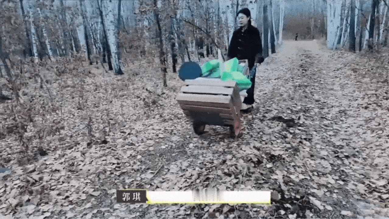 最适合打工人看的节目出现了这档节目简直是打工人的真实写照！CEO们化身搬运工，推