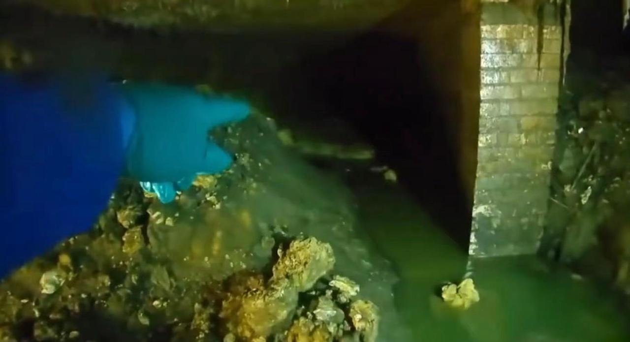 他们是人类，不是下水道里的老鼠。却被强酸腐蚀着连细菌都难以滋生，成为下水道尽头里