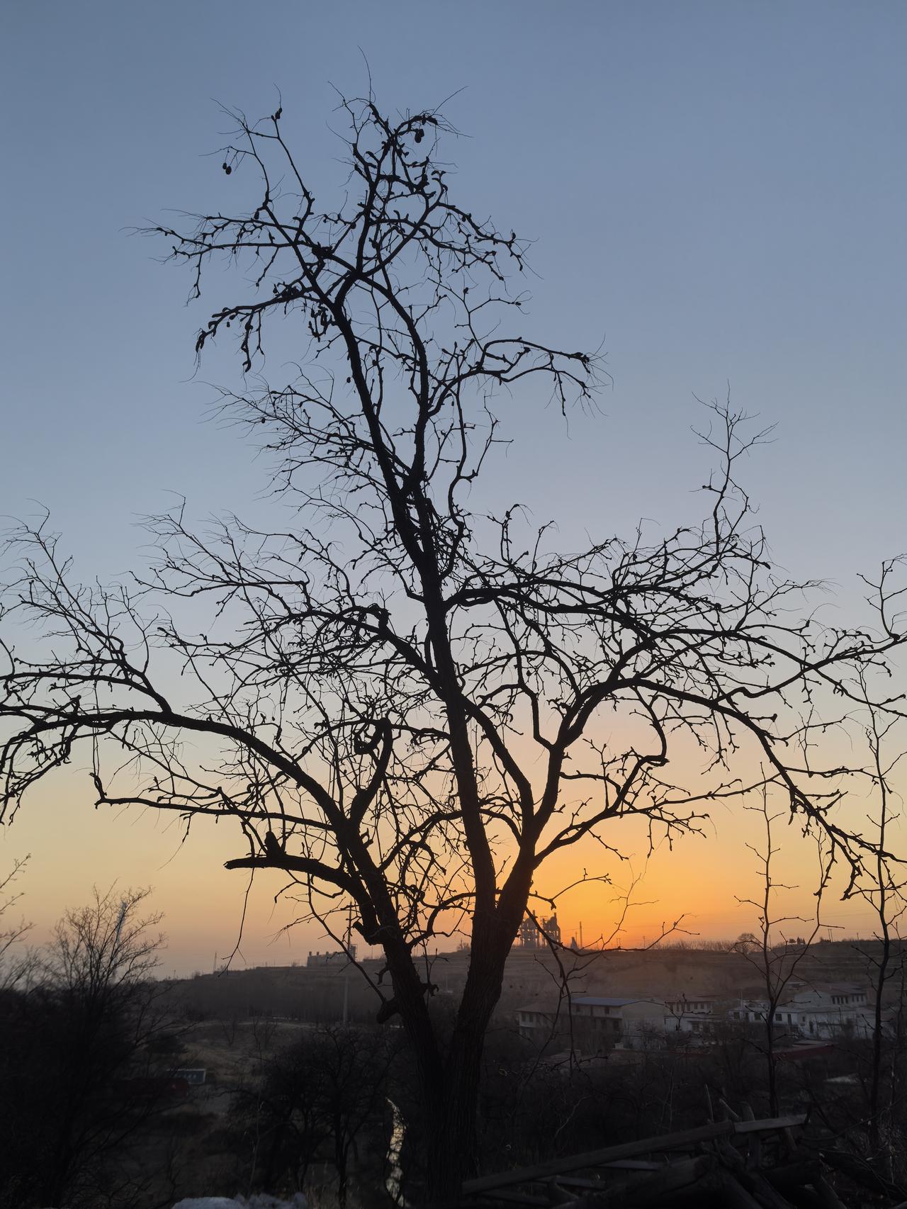 生活其实没有意义，那么生活是什么？生活就是柴米油盐酱醋茶！