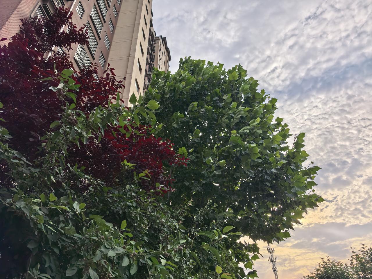 天气不好。
心情不错。
