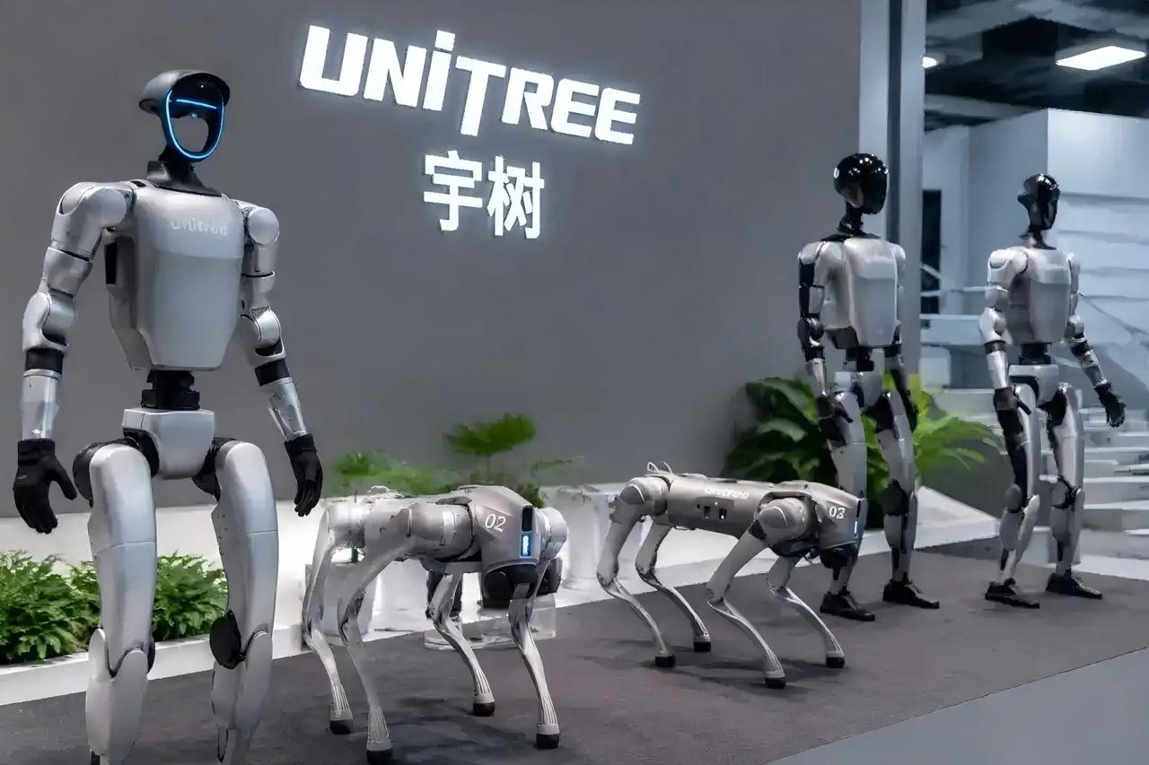 10月22日2026世界物理AI大会暨宇树合作伙伴生态大会在杭州开 王兴兴把具身