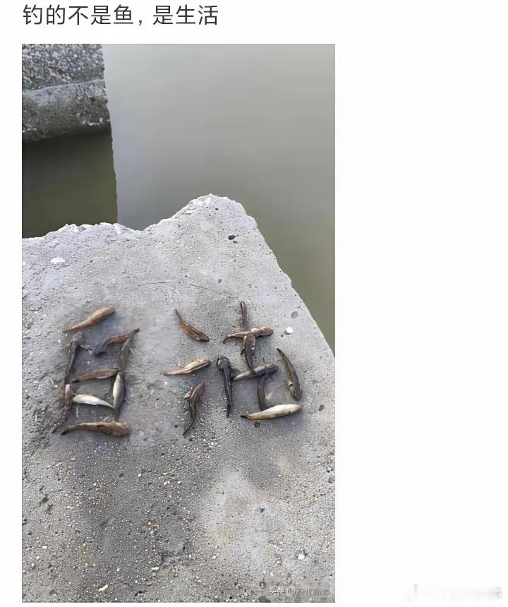 钓的不是鱼，是生活 