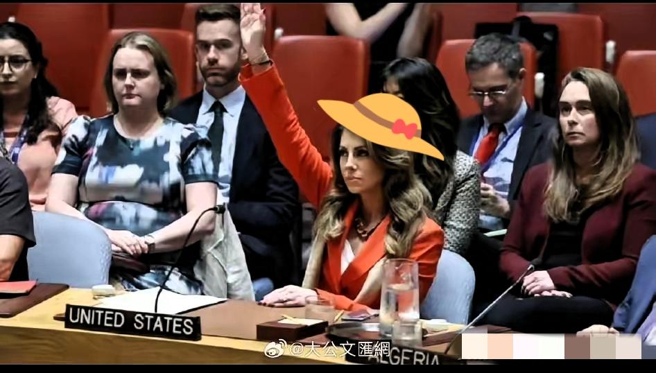 世界秩序正被撕开裂缝！ ​
今天凌晨，联合国安理会再度上演令人窒息的一幕：美国单