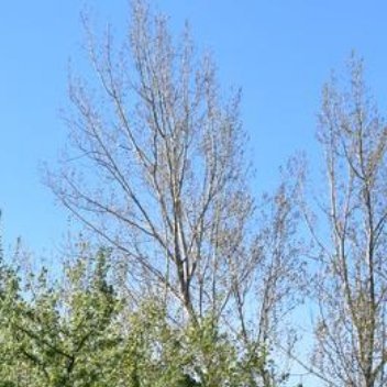 正能量人生没有最好的年龄，只有最好的心态，我们争不过岁月，也跑不过时间，唯有以自